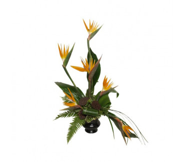 The bouquet flight of the paradise